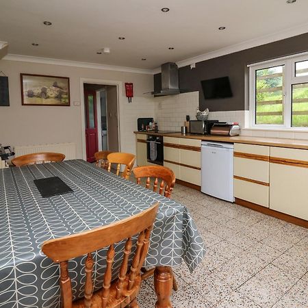 Llanwnen Aberdauddwr 빌라 외부 사진